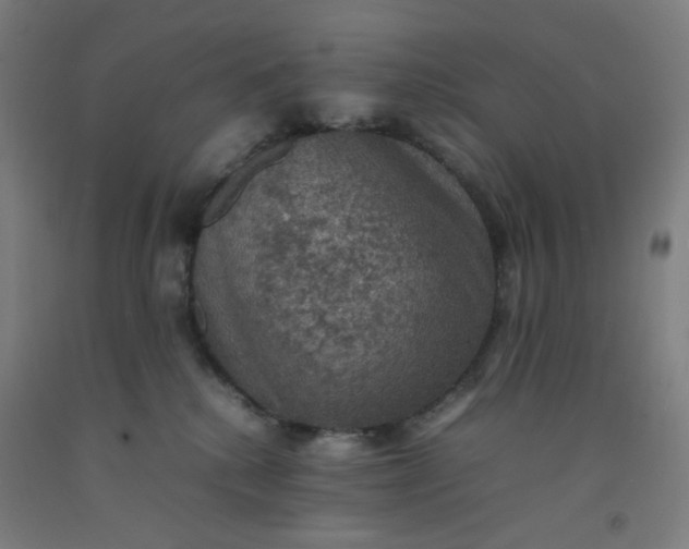 X0000092220280200709281049