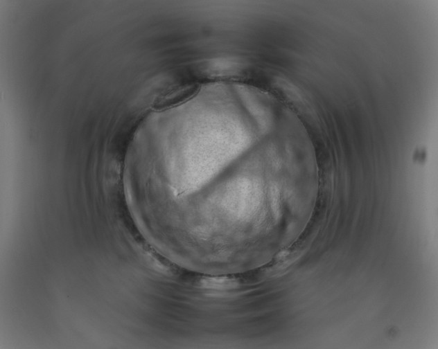 X0000092220281200709281049