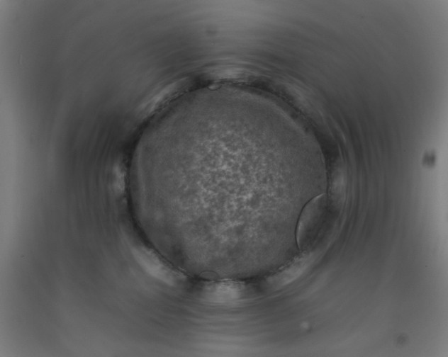 X0000092220282200709281049