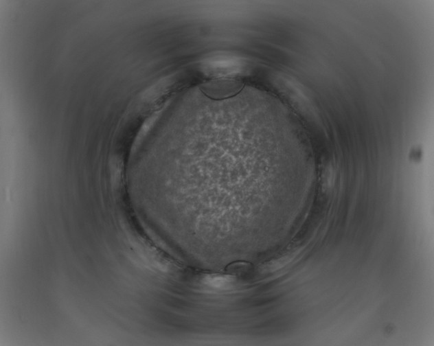 X0000092220283200709281049