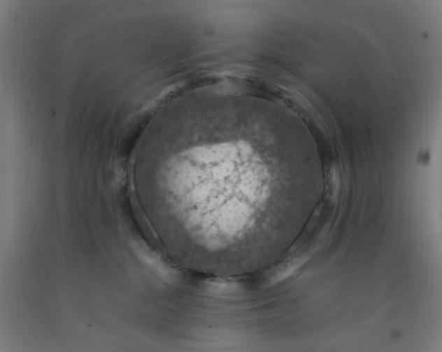 X0000092220284200709281049