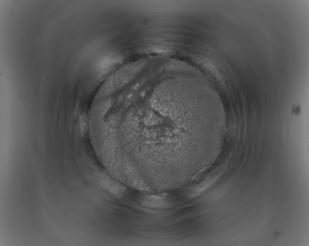 X0000092220285200709281049