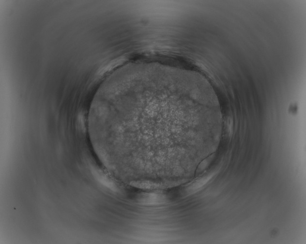 X0000092220286200709281049