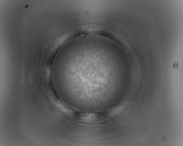 X0000092220288200709281049