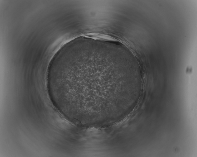 X0000092220290200709281049