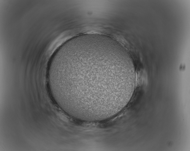 X0000092220291200709281049