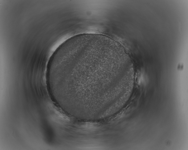 X0000092220292200709281049