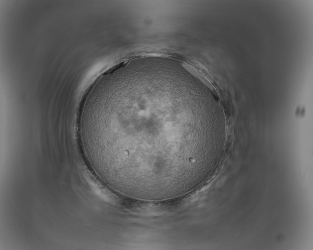 X0000092220293200709281049
