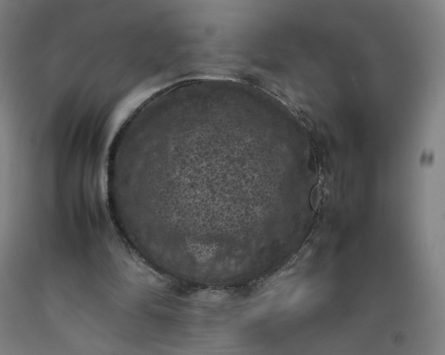 X0000092220294200709281049