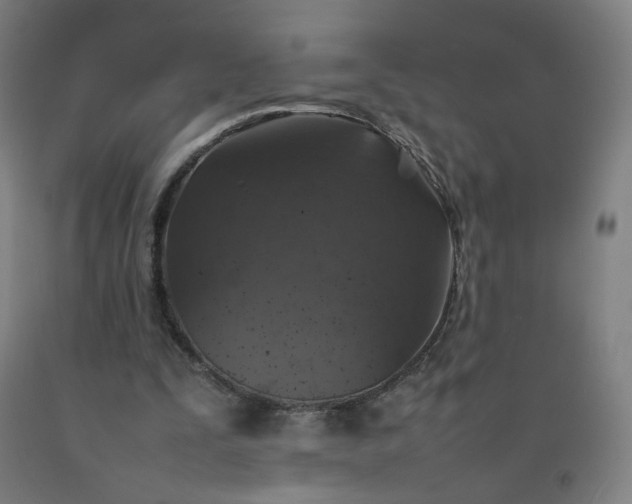 X0000092220295200709281049
