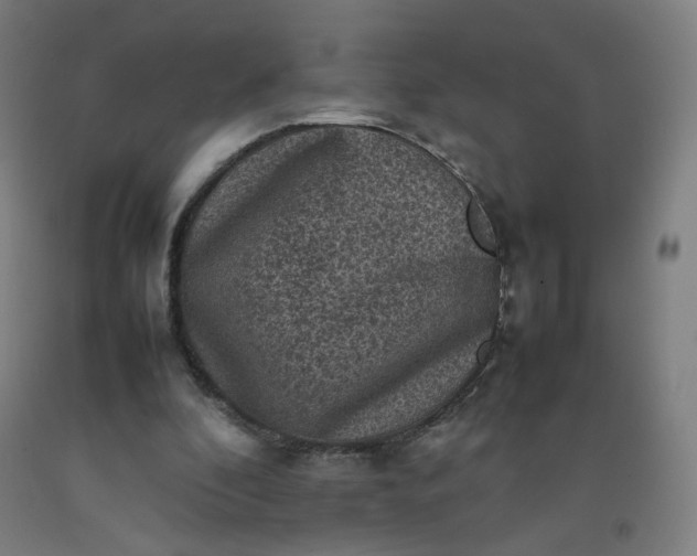 X0000092220296200709281049