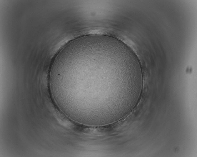 X0000092220297200709281049