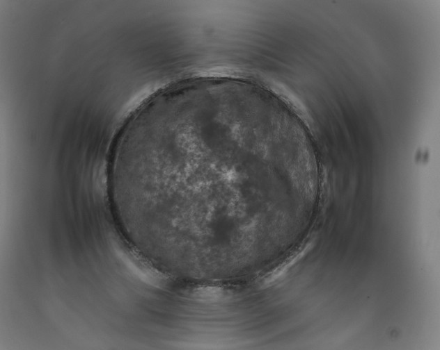 X0000092220298200709281049