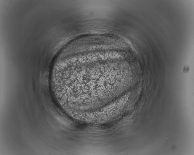 X0000092220299200709281049