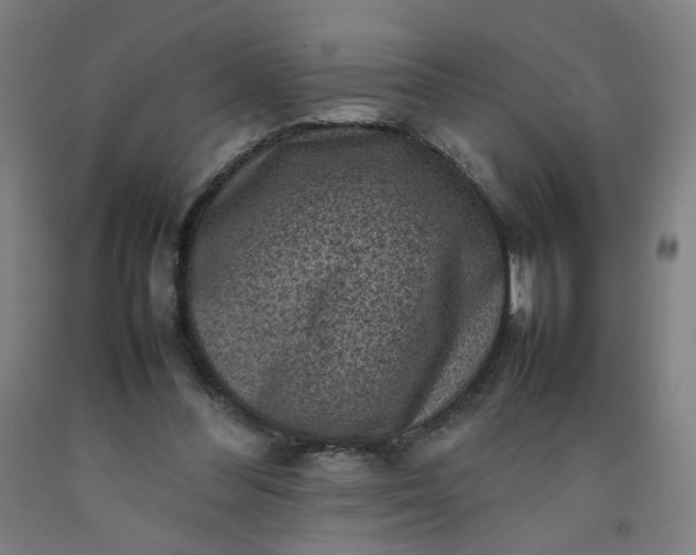 X0000092220300200709281049