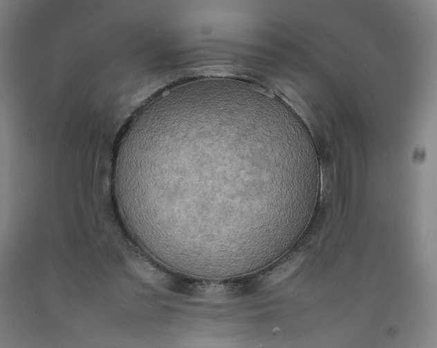 X0000092220301200709281049