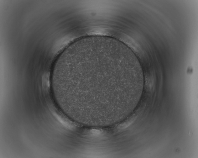 X0000092220302200709281049