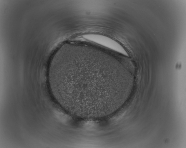 X0000092220303200709281049