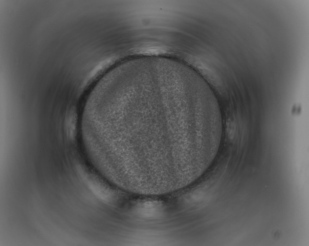 X0000092220304200709281049