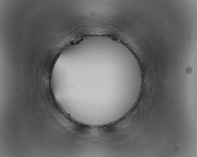 X0000092220305200709281049