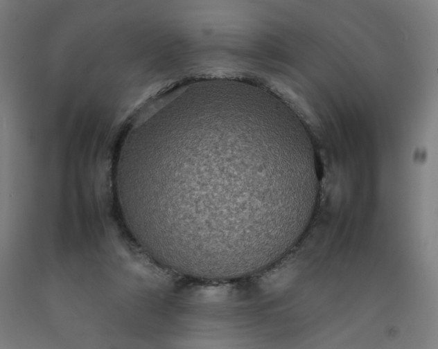 X0000092220306200709281049