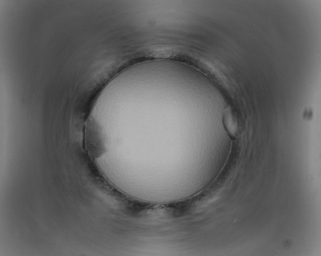 X0000092220307200709281049