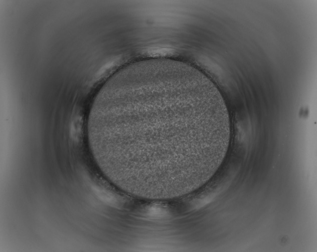 X0000092220308200709281048