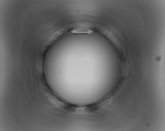 X0000092220309200709281048