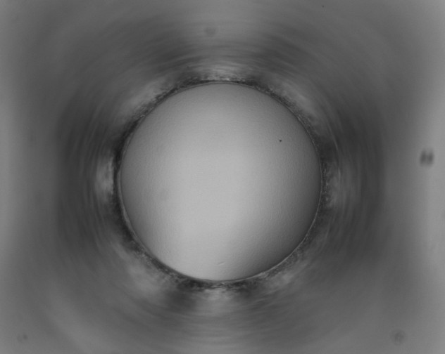 X0000092220310200709281048