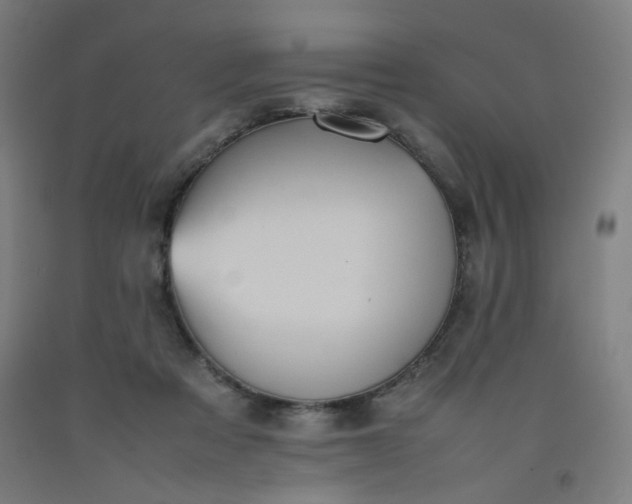 X0000092220313200709281048