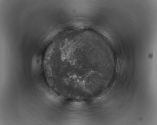 X0000092220314200709281048