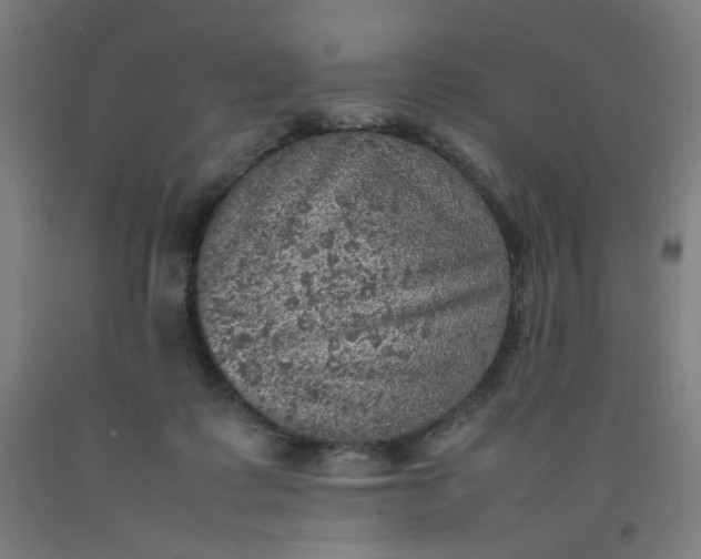 X0000092220315200709281048