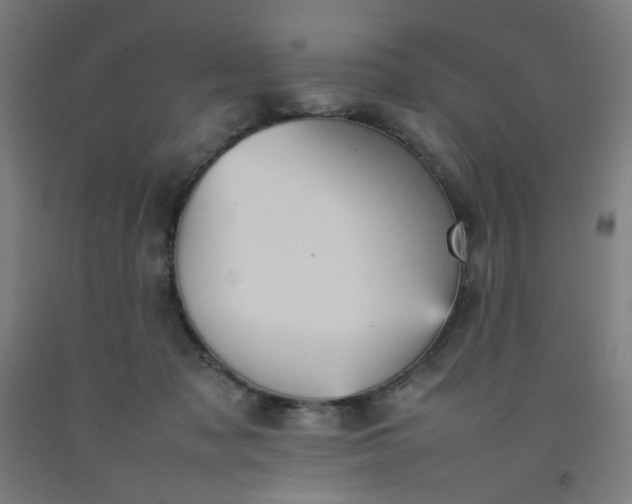X0000092220317200709281048