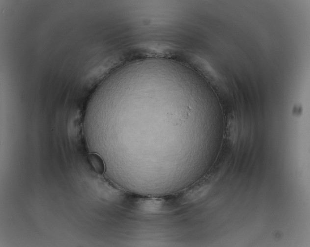 X0000092220318200709281048