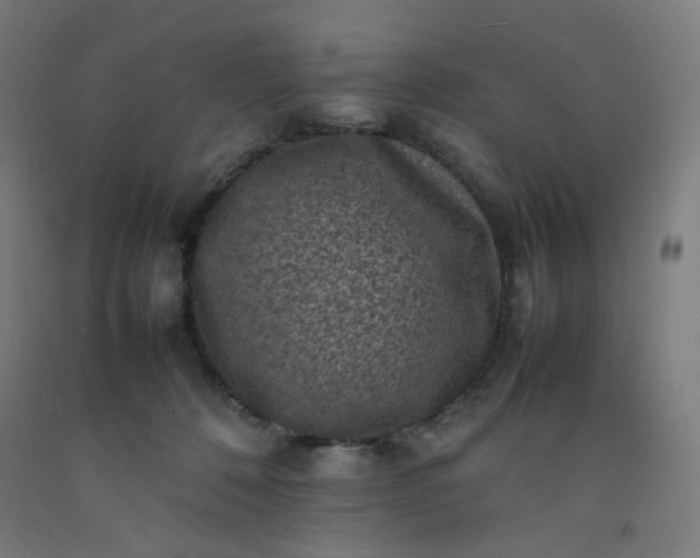 X0000092220320200709281048