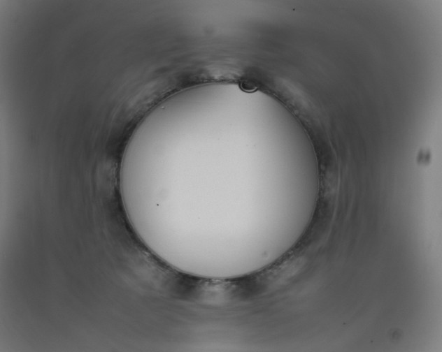 X0000092220321200709281048