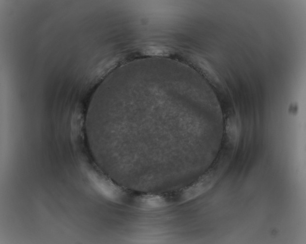 X0000092220322200709281048