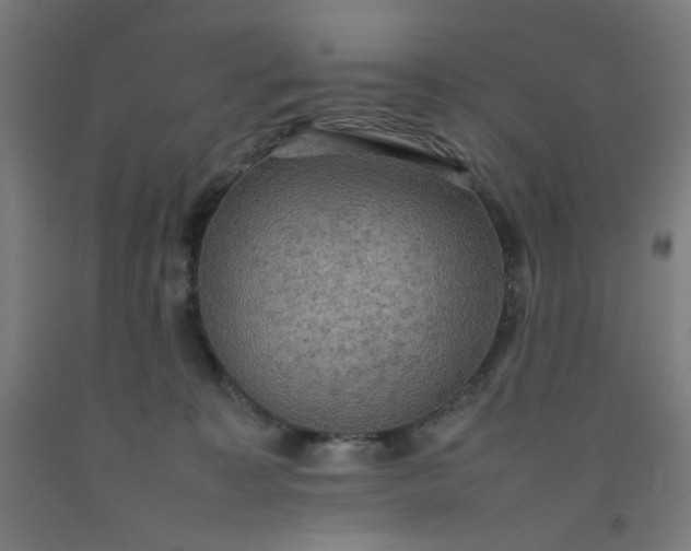 X0000092220323200709281048