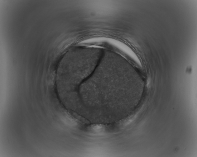 X0000092220325200709281048