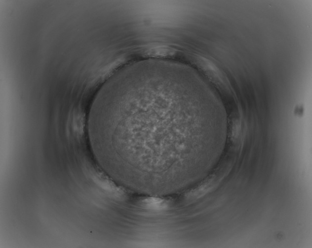 X0000092220326200709281048