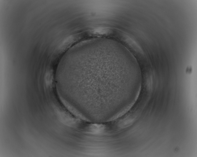 X0000092220328200709281048