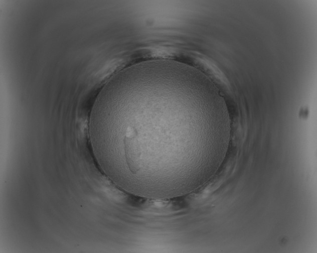 X0000092220329200709281048