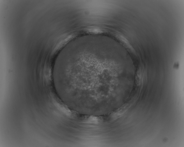 X0000092220330200709281048