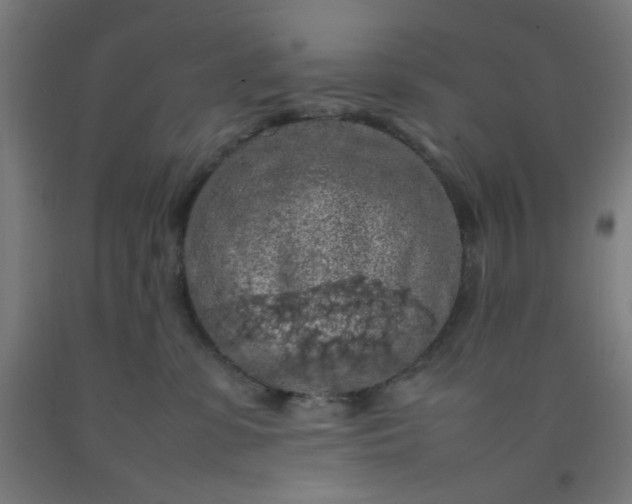 X0000092220331200709281048