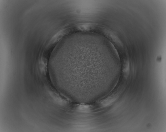 X0000092220332200709281048