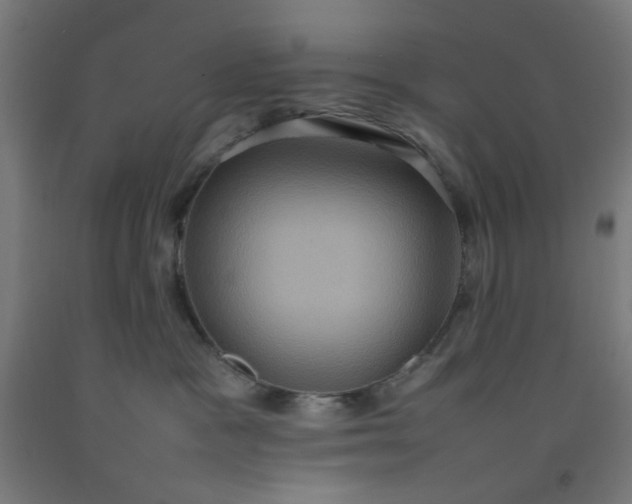 X0000092220333200709281048