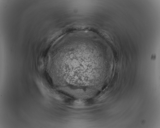 X0000092220335200709281048