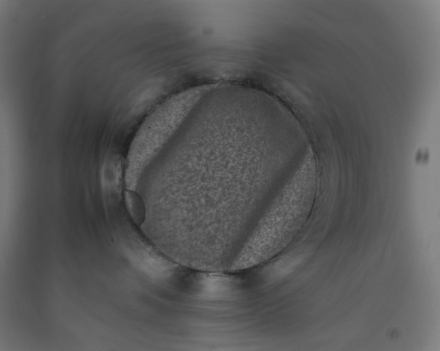 X0000092220336200709281048