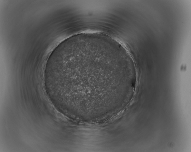 X0000092220337200709281048