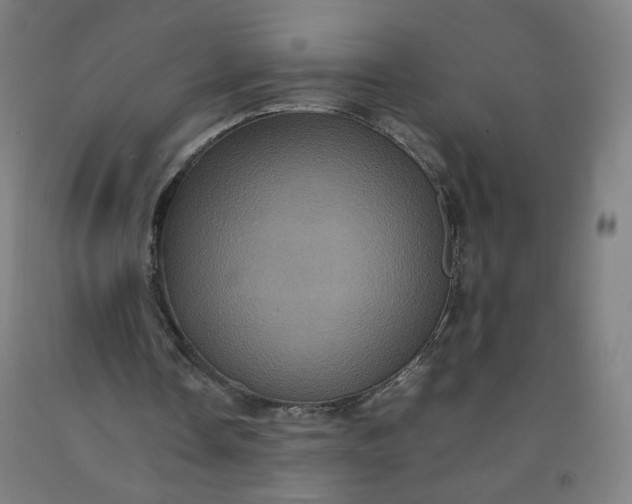 X0000092220338200709281048